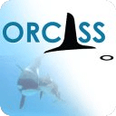 Orcass