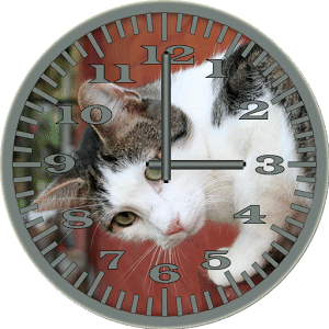 Cat 4 WallCat Analog Clock