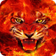 Fire Tiger Live Wallpaper 