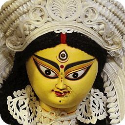 Live Durga Puja Suruchi Sangha