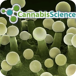 Cannabis Science