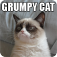 Tardar Sauce - The Grumpy Cat