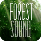 森林之声FOREST SOUND