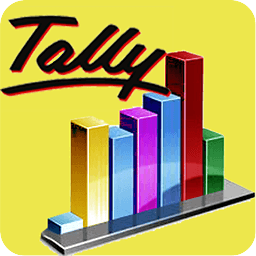 Tally CEO Dashboard