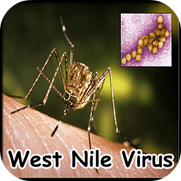 West Nile Virus Treatmen...