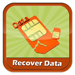 Recover Data Sim Card