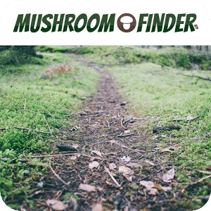 Mushroom Finder