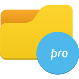 Pro file explorer