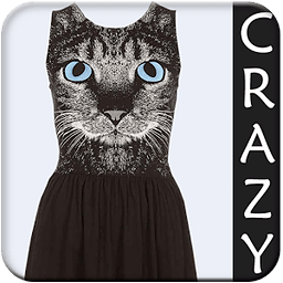 Crazy Dress Woman Photo ...