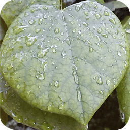 生物化学试题及答案