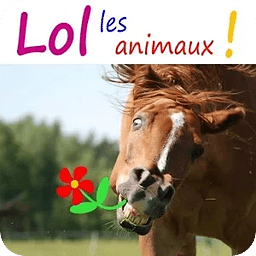 LOL Les Animaux