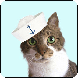 猫咪水手