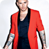 Pitbull wallpaper