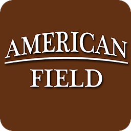 American Field