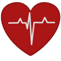 Heart ECG Handbook - Lite