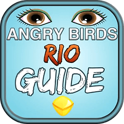 Angry Rio Guide