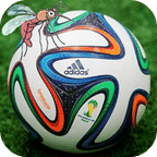 世界杯强力驱蚊