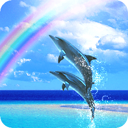 Dolphin Breeze Free