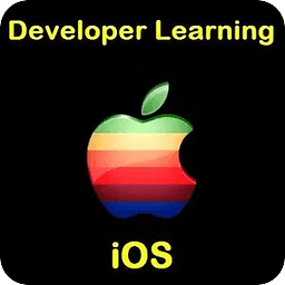 Developer Learning for i...