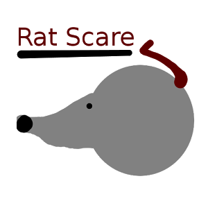 Rat Scare