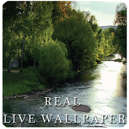 Nature and river real lwp