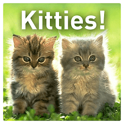 Kitties!