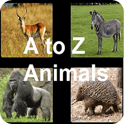 A to Z Animals