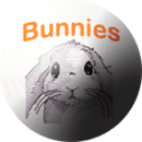 兔子十字绣 最新3.67版本