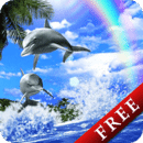 Dolphin Blue Trial