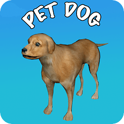 Dog - Pet Dog