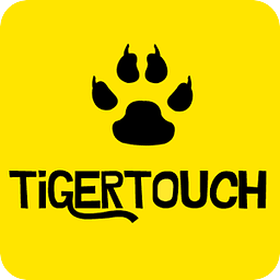 Tiger Touch