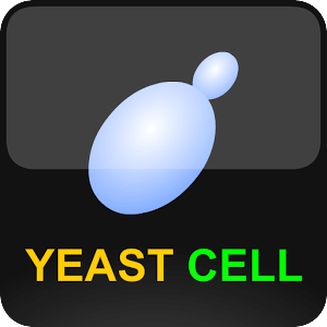 Virtual Yeast Cell