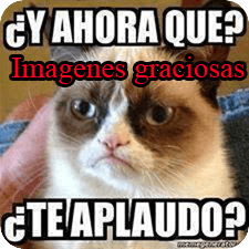 Imagenes Graciosas 2