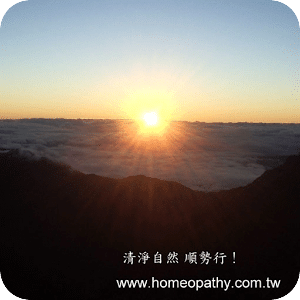 Homeopathy傳統順勢療法查詢