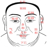 看相识人-面相篇