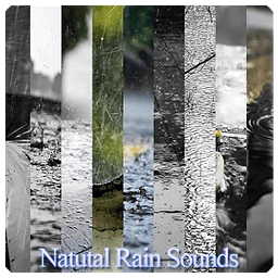 Natural Rain Sounds