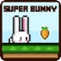 超级兔子 Super Bunny