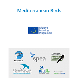 Mediterranean Birds