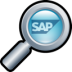 SAP Searcher