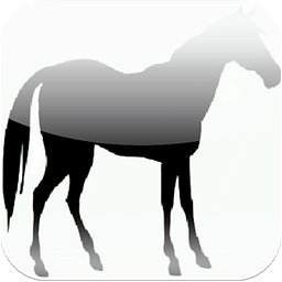 Horse Weight Calculator