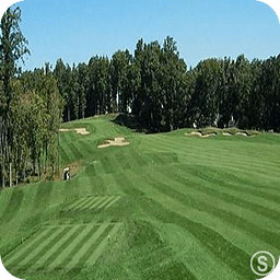 Turfgrass Manage