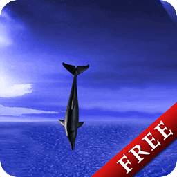 Dolphin Fly Free