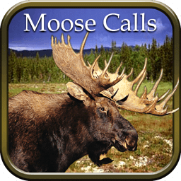 Moose Hunting Calls