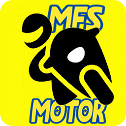 MFS MOTOR