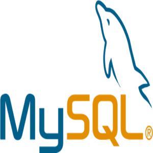 MySQL Reference Manual 5.0 ES