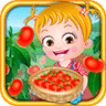Baby Hazel Tomato Farmings