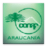 Parques Araucania