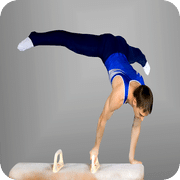 Gymnastics Quiz