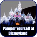 Free Disneyland Tour Guide