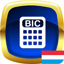 BIC Solver LU